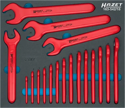 Produktbild von HAZET 163-542/18, 18 Stück(e)