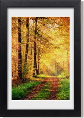 Produktbild von Bild 20x30 MDF-Rahmen, Wandkunst Herbstwald