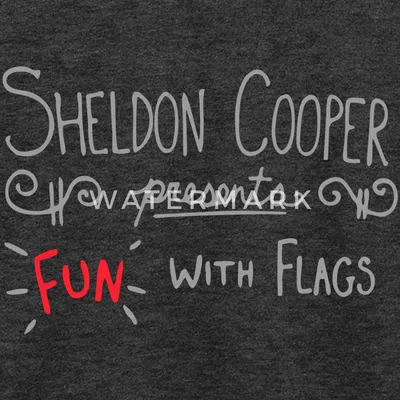 Produktbild von Spreadshirt The Big Bang Theory Spaß mit Flaggen Teenager Premium T-Shirt, 158/164 (12 Jahre), Anthrazit meliert