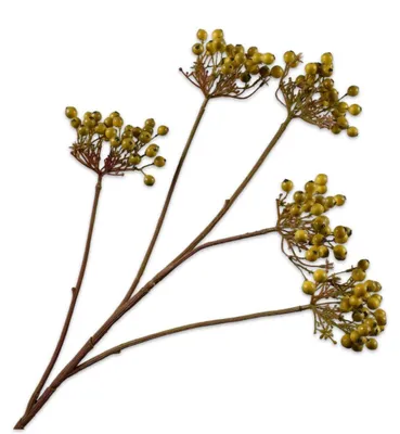Produktbild von Silk-ka Kunstblume – Seidenblumen-Beerenzweig, grün, 79 cm