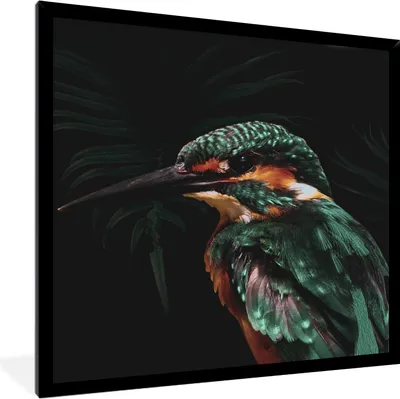 Produktbild von MuchoWow® MuchoWow® Gerahmtes Poster Eisvogel - Vogel - Grün 40x40 cm - Poster mit zchwarzem Bilderrahmen - Mit Rahmen - Wanddekoration Schlafzimmer