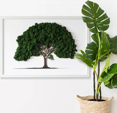 Produktbild von Moosbild mit Konserviertem Moos 3D Wandbild - 60x40 cm - Weißer MDF-Rahmen - Baum auf weißem Hintergrund