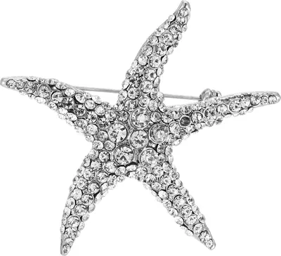 Produktbild von Seestern Brosche Silber Strass