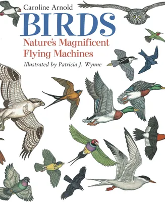 Produktbild von Birds