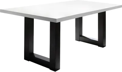 Produktbild von Esszimmertisch Eila 8 200 x 100 x 75 Esstisch Schwarzstahl/Weiß Matt Lack 13386-200