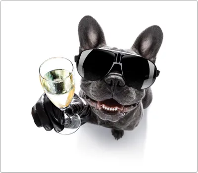 Produktbild von Spritzschutz Herdabdeckplatte Schneidebrett aus Glas Bulldogge mit Prosecco Glas 1-Teilig (60x52cm)