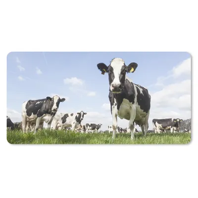 Produktbild von MuchoWow® Mauspad Mousepad Kühe - Gras - Tiere - Sonne - Bauernhof 60x30 cm - Mousepads - Maus Mat - Pad - Mausunterlage - Nachhaltig