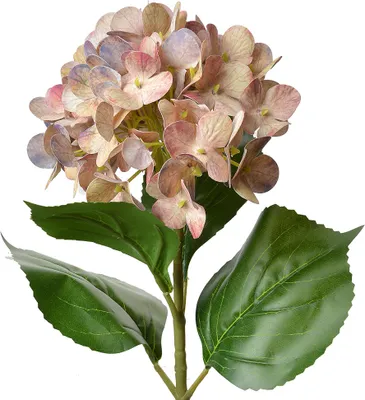 Obrázek produktu pro Clayre & Eef Umělé květiny hortenzie 68 cm růžová plastová