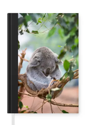 Obrázok produktu pre MuchoWow® Zápisník Denník Rozpočet A5 Koala - Pobočky - Deti - Chlapci - Dievčatá
