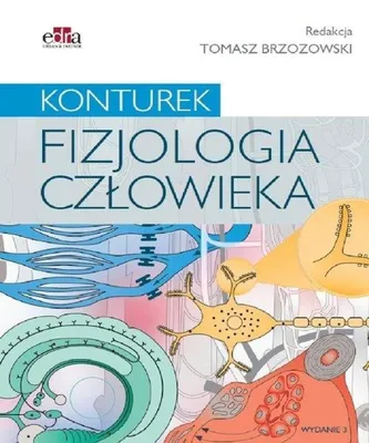 Produktbild von Fizjologia człowieka Konturek