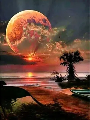 Image de Peinture Par Numéros Lune Rouge Sur Côte 40 X 50 5618