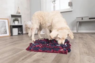 Schnüffelteppich für Hunde, Ansicht 2 von 7