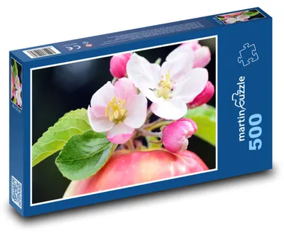 Obrázek produktu pro Puzzle 500 Květy jabloně na jaře - martinpuzzle
