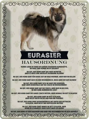 Produktbild von vianmo Blechschild 40x30 cm Tiere Eurasier Hausordnung Hunde Tier Haustier Hund