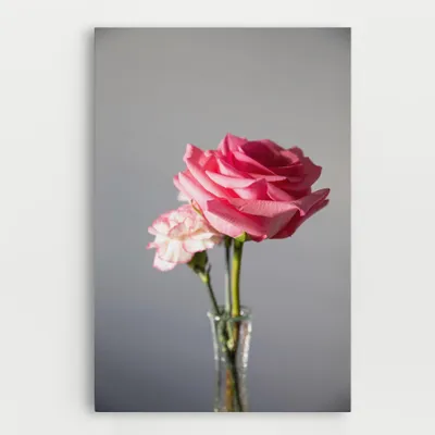 Produktbild von ARTHUB® Leinwandbild 50x70 cm, Big Pink Rose Vase | Wohnzimmerdekoration, Hängende Bilder, Wanddekoration, Heimdekoration, Blumen, Blumen in der Vase