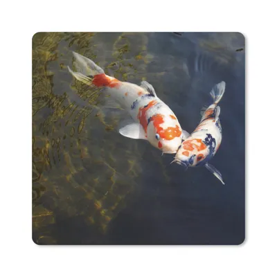 Produktbild von MuchoWow® Mauspad Mousepad Zwei Koi-Karpfen im Wasser 20x20 cm - Mousepads - Maus Mat - Pad - Mausunterlage - Desk Mat - Bureauartikeln
