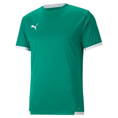Image de Puma Teamliga Maillot Hommes Manches Courtes - Vert / Blanc