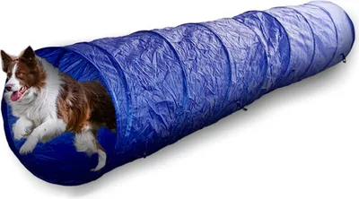 Image de maxxpro Tunnel pour chiens Agility Set, Pliable, Léger, avec sac de transport et piquets, 3M