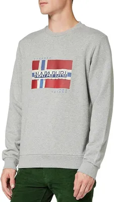 Immagine prodotto di Felpa con cappuccio da uomo NAPAPIJRI NP0A4EZ9-BERIS-C Colore: Grigio, Taglia: S