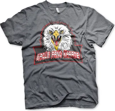 Produktbild von Eagle Fang Karate T-Shirt - Large - Dark-Heather
