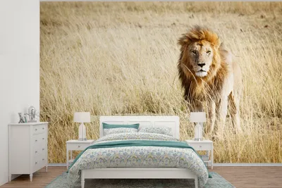Produktbild von MuchoWow® Fototapete für Wohnzimmer oder Schlafzimmer Wandtapete Vinyl Motivtapete Löwen - Afrika - Gras - 600x400 cm - Vinyltapeten