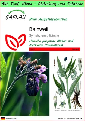 Produktbild von SAFLAX Garden to go - Beinwell - Symphytum officinale - 15 Samen - Mit Topf, Klima - Deckel und Anzuchtsubstrat
