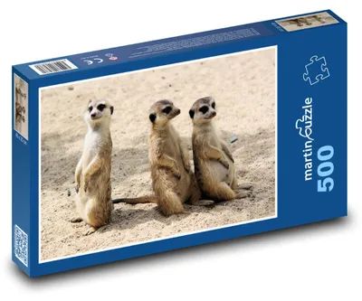 Zdjęcie produktu dla martinpuzzle - Puzzle 500 - Surikaty