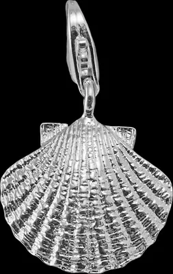 Produktbild von Thomas Sabo Muschel 0803-001-12 Charm Anhänger