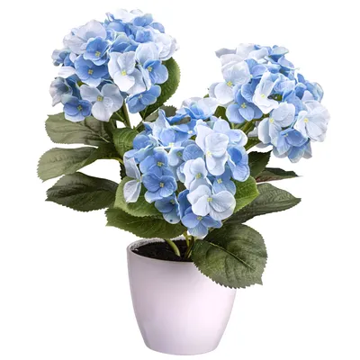 Produktbild von 1 Keine Kunststoff 32 cm blau