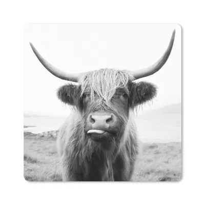 Produktbild von MuchoWow® Mauspad Mousepad Tiere - Schottischer Highlander - Kuh - Schwarz - Weiß 20x20 cm - Mousepads - Maus Mat - Pad - Mausunterlage - Desk Mat - Bureauartikeln
