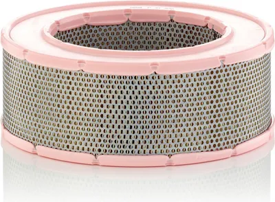 Obrázek produktu pro Vzduchový filtr MANN-FILTER C 31 220 Filtrační vložka