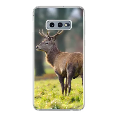 Produktbild von MuchoWow® Handyhülle Schutzhülle Hülle für Samsung Galaxy S10e Rothirsch - Wiese - Grün Silikon Softcase Handy Hülle - Handy
