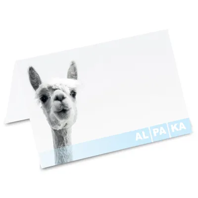 Produktbild von PRICARO Tischkarten "Alpaka Was guckst du", 50 Stück