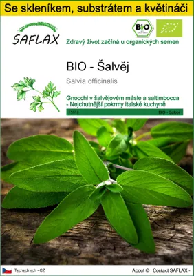 Obrázek produktu pro SAFLAX Kultivační sada - BIO - Šalvěj - Salvia officinalis - 60 Semena - S mini skleníkem, pěstebním substrátem a 2 květináči