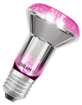 Image de L'ampoule LED Star pour plantes OSRAM avec filament et 7.5 W / 140 lm, culot E27, avec une lumière blanche chaude à 1300 Kelvin, permet aux plantes de s'épanouir. Elle n'est pas dimmable et mesure 63 mm.