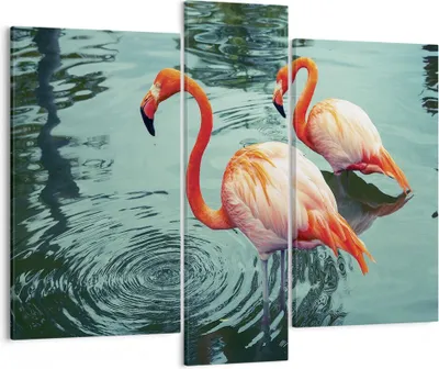 Produktbild von Bild auf Leinwand - Leinwandbild - 3 Teile - Rosa Flamingos Wasser - 95x80cm - Wand Bild - Wanddeko - Wandbilder - Leinwanddruck - Bilder - Wanddekoration - Leinwand bilder - Wandbild - CB95x80-4203