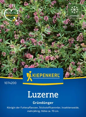 Produktbild von Kiepenkerl Luzernensamen Saat-Alfalfa Medicago sativa 25 m²