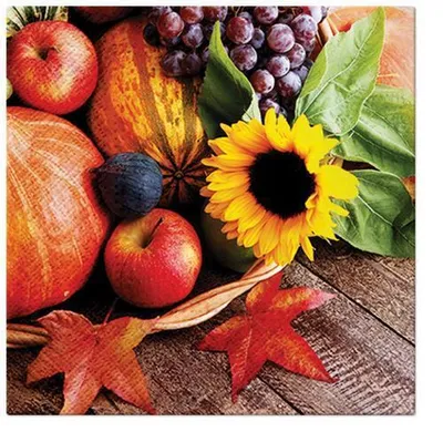 Produktbild von 20 Servietten Autumn Treasure - Schönes aus dem Herbstgarten 33x33cm