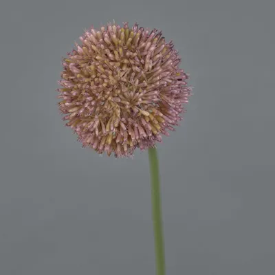 Produktbild von artplants.de Künstlicher Allium Natasha, lila, 65cm, Ø10cm - Künstliches Zierlauch