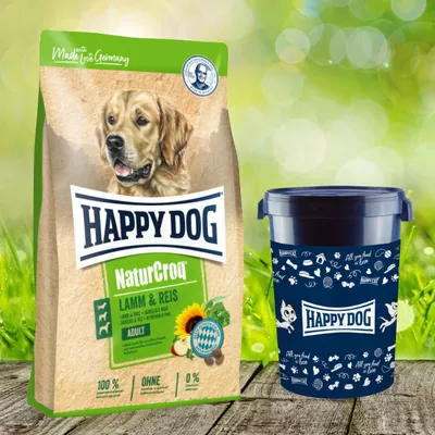 A bag of dog food and a dog food container are displayed on a wooden surface with a blurred green background of grass and bokeh lights.