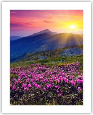 Produktbild von Poster - Poster ohne Rahmen - Wiese Berge Landschaft - 40x50 cm - Wand Bild - Wanddeko - Wandbilder - Kunstposter - Wandposter - Bilder - Kunstdruck - Wanddekoration - Wandbild - P2XPA40x50-2676