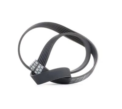 Produktbild von DAYCO Keilrippenriemen 6PK1125 für VW Golf IV Schrägheck (1J1) Lupo (6X1 6E1)
