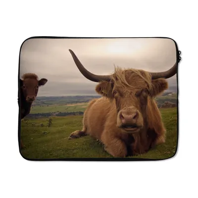 Produktbild von MuchoWow® Laptop Hülle 15 Zoll Schottischer Highlander - Tiere - Berg Laptoptasche - Laptoptasche - Sleeve - Rundum-Schutz