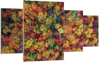 Produktbild von Bild auf Leinwand - Leinwandbild - 4 Teile - Herbst Perspektive Vogel - 160x90cm - Wand Bild - Wanddeko - Wandbilder - Leinwanddruck - Bilder - Wanddekoration - Leinwand bilder - DL160x90-4478