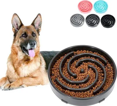 Produktbild von Hundebadewanne