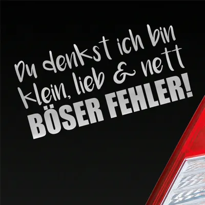 Produktbild von Auto Aufkleber Du denkst ich bin klein, lieb & nett Böser Fehler! 19,5x9,5 cm Silber Sticker Heckscheibenaufkleber