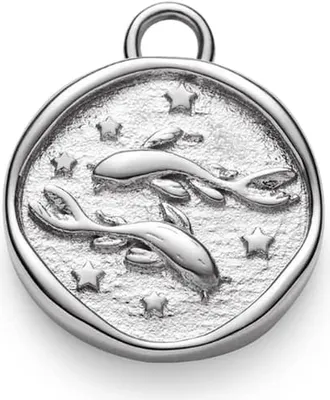 Image de Paul Hewitt : pendentif Poissons