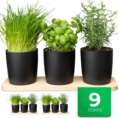 Produktbild von Novaliv Stilvolle Kräuterstation 9er Set mit Holzunterlage - Kräutertopf für jede Fensterbank, Für frische Küchenkräuter, Kräutergarten für die küche, Kräuterbeet indoor, Blumenkasten, Pflanzentopf