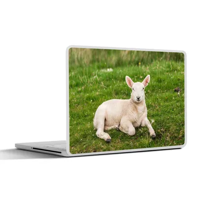 Produktbild von MuchoWow® Laptop Aufkleber Sticker Cover Schafe - Tiere - Lamm 36.5x27.5 cm - Laptop-Sticker