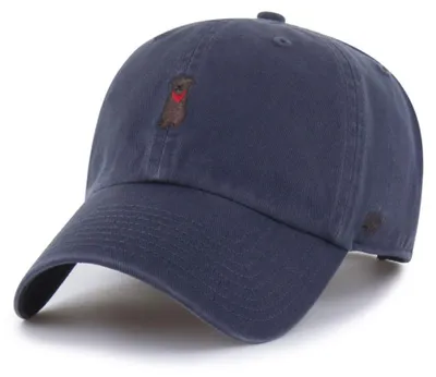 Image de Chapeau 47 Brand XXBSRIC1411GWSVNEXXA